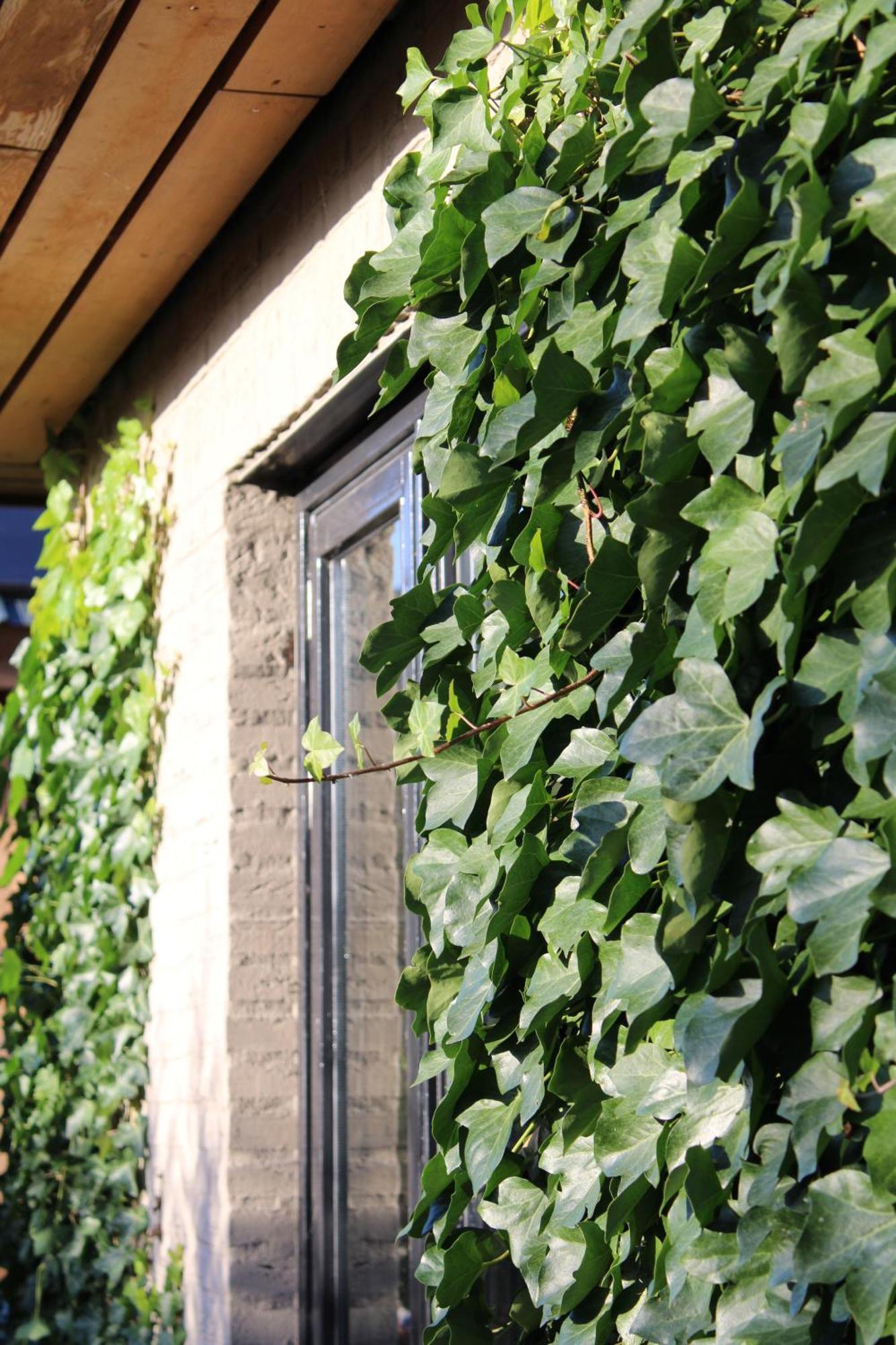 Stad aan 't Haringvliet Tiny House In De Boomgaard B&B 외부 사진